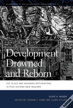 Capa do artigo Development Drowned And Reborn