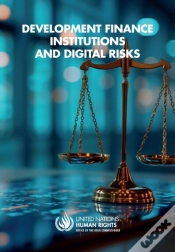 Capa do artigo Development Finance Institutions And Digital Risks