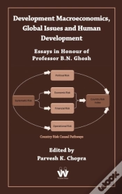 Capa do artigo Development Macroeconomics, Global Issue