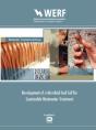 Development Of A Microbial Fuel Cell For Sustainable Wastewater Treatment - Preview