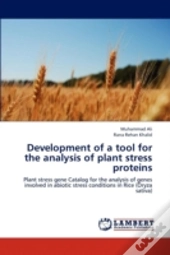 Development Of A Tool For The Analysis O