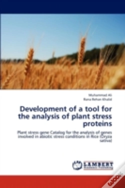 Capa do artigo Development Of A Tool For The Analysis O