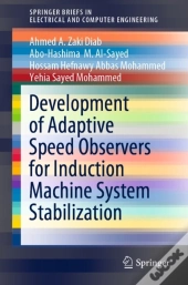 Development Of Adaptive Speed Observers For Induction Machine System Stabilization
