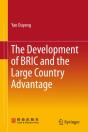 Development Of Bric And The Large Country Advantage - Preview