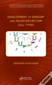 Capa do artigo Development Of Sensory And Neurosecretory Cell Types