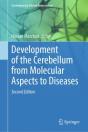Development Of The Cerebellum From Molecular Aspects To Diseases - Preview