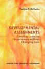 Developmental Assignments - Preview