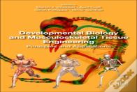 Developmental Biology And Musculoskeletal Tissue Engineering