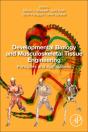 Developmental Biology And Musculoskeletal Tissue Engineering - Preview