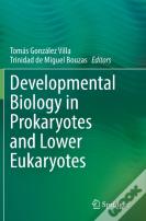 Developmental Biology In Prokaryotes And Lower Eukaryotes