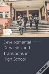 Developmental Dynamics And Transitions In High School
