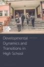Developmental Dynamics And Transitions In High School - Preview