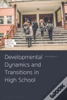 Developmental Dynamics And Transitions In High School