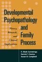 Developmental Psychopathology And Family Process - Preview