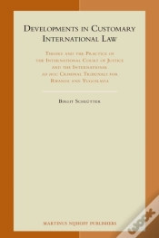 Capa do artigo Developments In Customary International Law