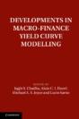 Developments In Macro-Finance Yield Curve Modelling - Preview