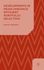 Developments In Mean-Variance Efficient Portfolio Selection - Preview
