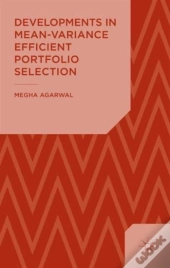 Developments In Mean-Variance Efficient Portfolio Selection