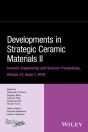 Developments In Strategic Ceramic Materials Ii - Preview