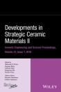 Developments In Strategic Ceramic Materials Ii - Preview