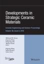 Developments In Strategic Ceramic Materials - Preview