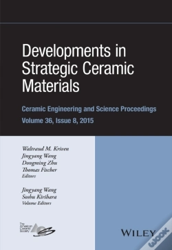 Capa do artigo Developments In Strategic Ceramic Materials