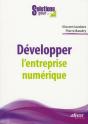 developper l'entreprise numerique - Preview