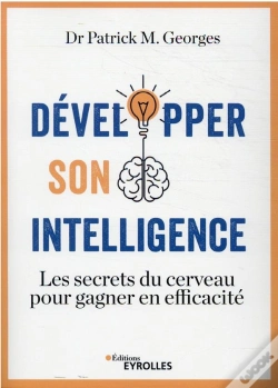 Capa do artigo Developper Son Intelligence - Les Secrets Du Cerveau Pour Gagner En Efficacite
