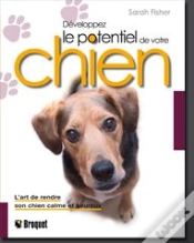 Capa do artigo Développez Le Potentiel De Votre Chien