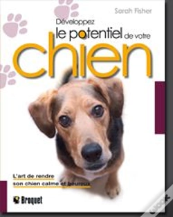 Capa do artigo Développez Le Potentiel De Votre Chien