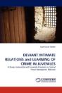 Deviant Intimate Relations And Learning Of Crime In Juveniles - Preview