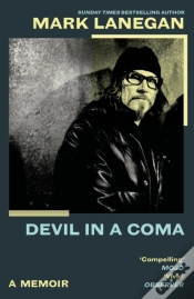 Capa do artigo Devil In A Coma