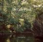 Devil'S Pool - Preview