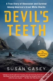 Capa do artigo Devil