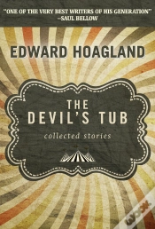 Capa do artigo Devil
