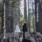 Devising Theatre And Performance - Preview