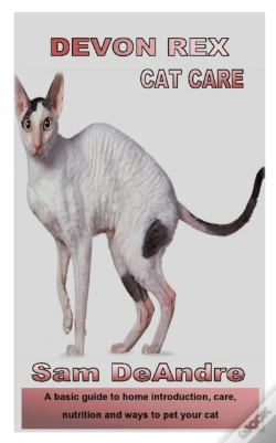 Capa do artigo Devon Rex Cat Care