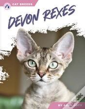 Capa do artigo Devon Rexes