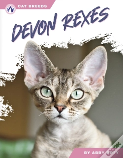 Capa do artigo Devon Rexes