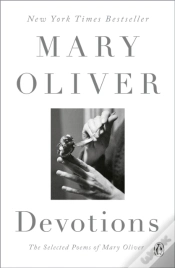 Capa do artigo Devotions: A Read With Jenna Pick