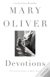 Capa do artigo Devotions