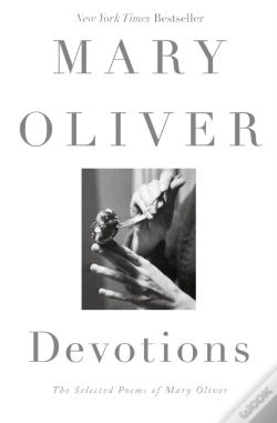 Capa do artigo Devotions