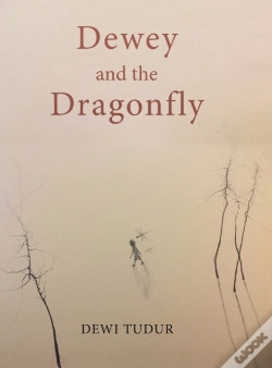Capa do artigo Dewey And The Dragonfly