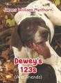 Dewey'S 123s - Preview
