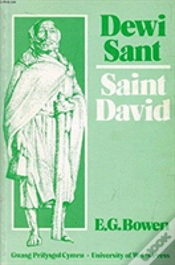 Capa do artigo Dewi Sant
