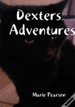 Capa do artigo Dexters Adventures