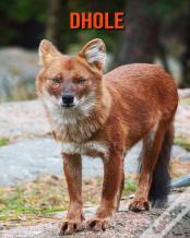 Dhole