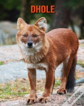 Capa do artigo Dhole
