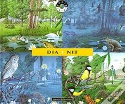 Capa do artigo Dia I Nit