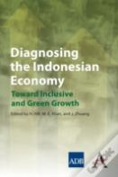 Diagnosing The Indonesian Economy